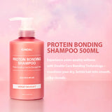 Kundal Protein Bonding Care Shampoo 500ml #Ylang Ylang