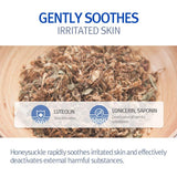 Pyunkang Yul ATO Cream Blue Label Moisturizer 120ml / 4.06 fl. oz.