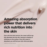 ma:nyo Bifida Biome Concentrate Cream 50ml / 1.69 fl. oz.