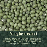 Pyunkang Yul Calming Pore Clear Wash Off Mask 100ml / 3.52 oz