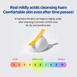 Real barrier Cream Cleansing Foam 220ml / 7.43 fl. oz.