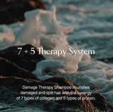 GROWUS Damage Therapy Scalp Scaling Ampoule 50ml / 1.69 fl. oz.