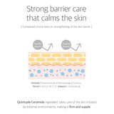 Round Lab Dokdo Cream 80ml / 2.71 fl. oz.