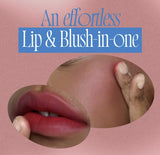 Fwee Blurry Pudding Pot PK04 Memories