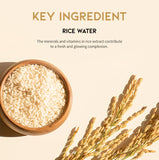 OOTD Glass Skin Rice Water Toner Pad 70 Pads / 4.05 oz. / 120ml