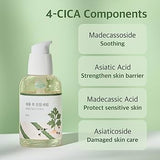 <RED> Round Lab Mugwort Calming Serum 50ml / 1.69 fl. oz.