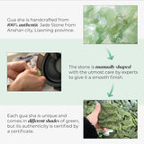 Plantifique Gua Sha Jade Stone