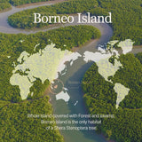 Mixsoon Vegan Melting Lip Balm Dry rose 0.14 oz / 4.1g