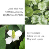 Pyunkang Yul Moisture Soothing Sun Cream SPF 50 2.53 fl. oz. / 75ml