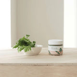 <RED> Round Lab Mugwort Calming Cream 80ml