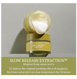 <viral>I’m from Mugwort Cream 50ml / 1.69 fl oz