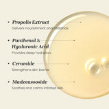 CNP Laboratory Propolis Treatment Ampoule Essence 150ml / 5.07 fl. oz.