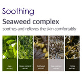 Petitfee Agave Cooling Hydrogel Beauty Face Mask 5 Sheets - 1.12 oz (32 g) Each