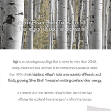 Round Lab Birch Juice Moisturizing Tone Up Sunscreen 50ml / 1.69 fl. oz.