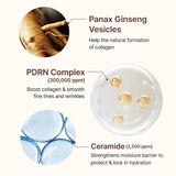 Centellian 24 Madeca PDRN Firming Boosting Ampoule 30ml