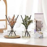 Cocodor Exclusive Fragrance Reed Diffuser Woody Hotel 200ml