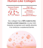 Mary & May Vegan Collagen Red Ginseng Mask 4