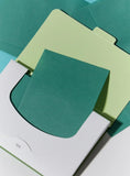 Bringgreen Artemisia Oil Control Paper 70