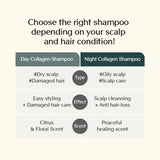 Treecell Night Collagen Shampoo 360ml