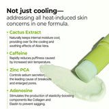 Dr.Melaxin Cactox Pore Relief Multi Balm 25g