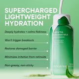 Innisfree Green Tea Ceramide Milk Barrier Essence 160ml