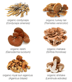 youtheory Immune+ Daily Wellness, 150 Vegetarian Capsules