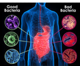 trunature Women's Daily Probiotic, 90 Vegetarian Capsules